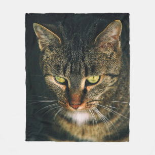 MANTA POLAR FOTOGRAFÍA CERRADA DEL GATO DE TABBY GRIS