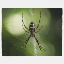 Fotografía de la araña del jardín dorado Fleece Bl