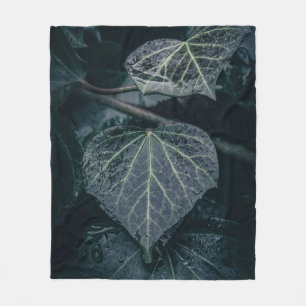 Manta Polar Fotografía de Moody Ivy Nature