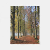 Fotografía de paisajes naturales árboles otoñales