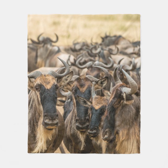 MANTA POLAR FOTOGRAFÍA DE SHALLOW FOCUS DE LOS ANIMALES MARRON (Anverso)