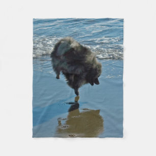 Manta Polar Fotografía del Ballet Keeshond - Arte de Perro Ori