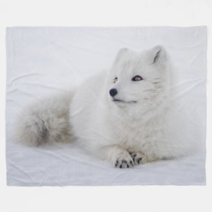MANTA POLAR FOX ARTICA