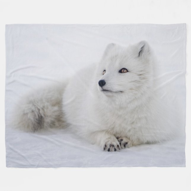 MANTA POLAR FOX ARTICA (Frente (Horizontal))