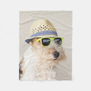 Manta Polar Fox terrier