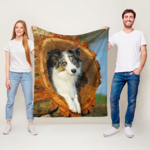 Manta Polar Frontera Collie Azul Merle Dog Cute Retrato Foto -