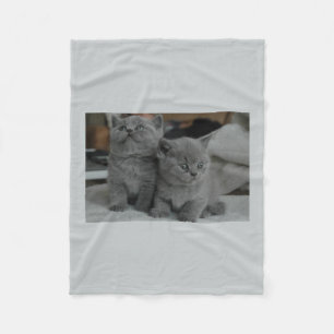 Manta Polar Gatito Adorable Mascota Animal Gris