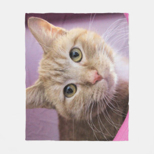 Manta Polar Gato
