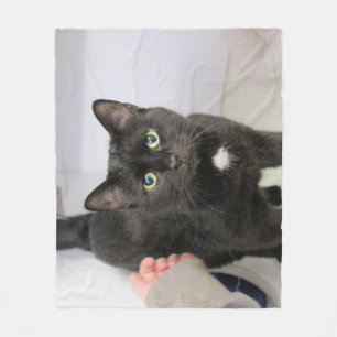 Manta Polar Gato