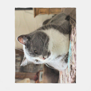 Manta Polar Gato