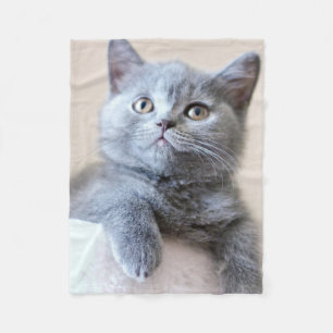 Manta Polar Gato británico gris de Shorthair