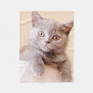 Manta Polar Gato británico lindo de Shorthair