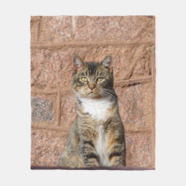 Manta Polar Gato de iglesia