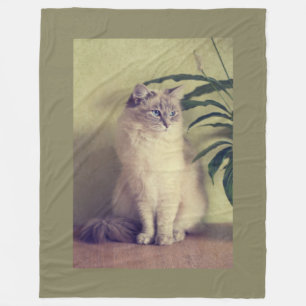 Manta Polar Gato de Ragdoll