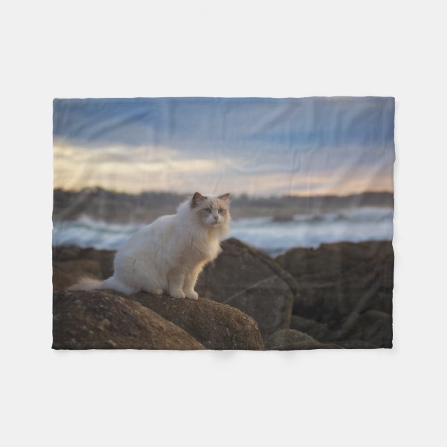 Manta Polar Gato de Ragdoll en la playa (Frente (Horizontal))