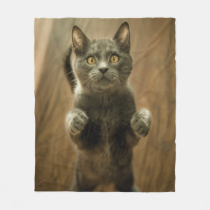 MANTA POLAR GATO GRIS EN DOS PIES