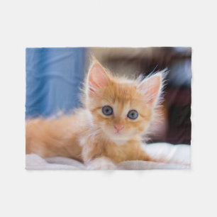 Manta Polar Gato lindo con los ojos azules