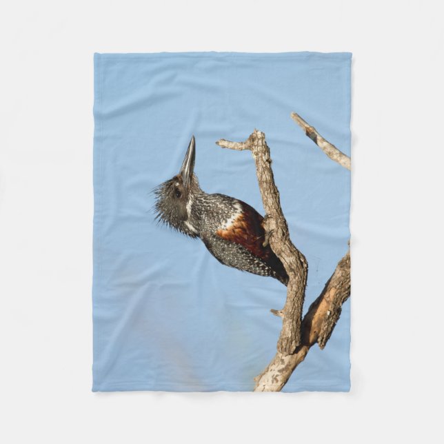 Manta Polar Gigante Kingfisher (Anverso)