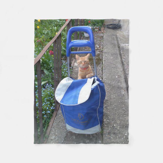 Manta Polar Ginger Cat Fleece Blanket (Anverso)
