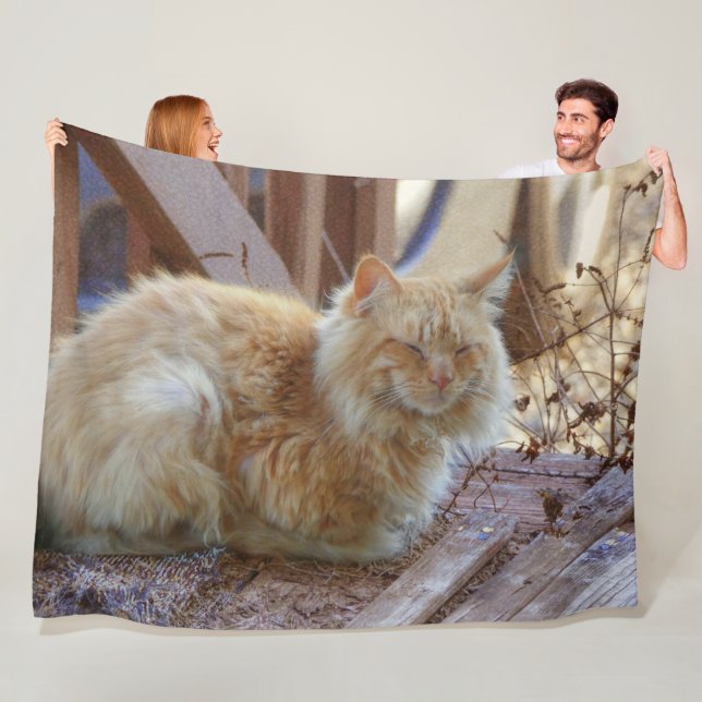 Manta Polar Ginger George (In situ)