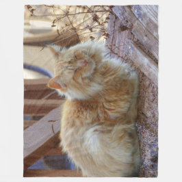 Manta Polar Ginger George