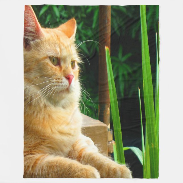 Manta Polar Ginger Tabby Cat Meditación (Anverso)