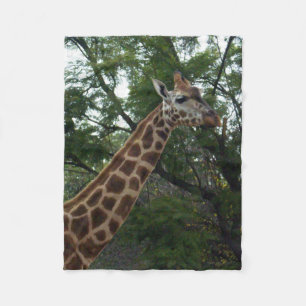 Manta Polar Giraffe Adventure, Small