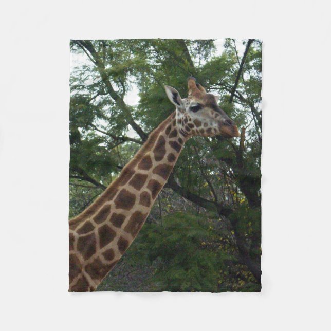 Manta Polar Giraffe Adventure, Small (Anverso)