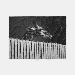 Manta Polar Giraffe detrás de Fence Black & White Photography