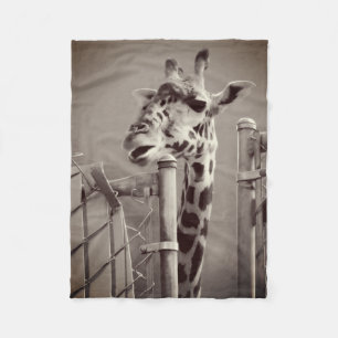 Manta Polar Giraffe Fotografía - Estilo de época