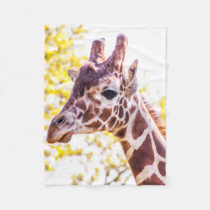 Manta Polar Giraffe Portrait