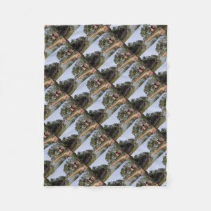 Manta Polar Goa India