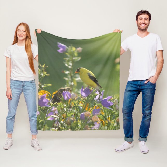 Manta Polar Goldfinch en una flor harebell (In situ)