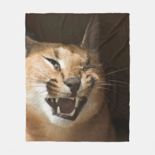 Manta Polar Goofy Lynx