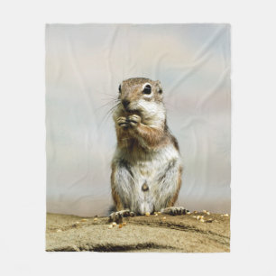 Manta Polar Gopher_005