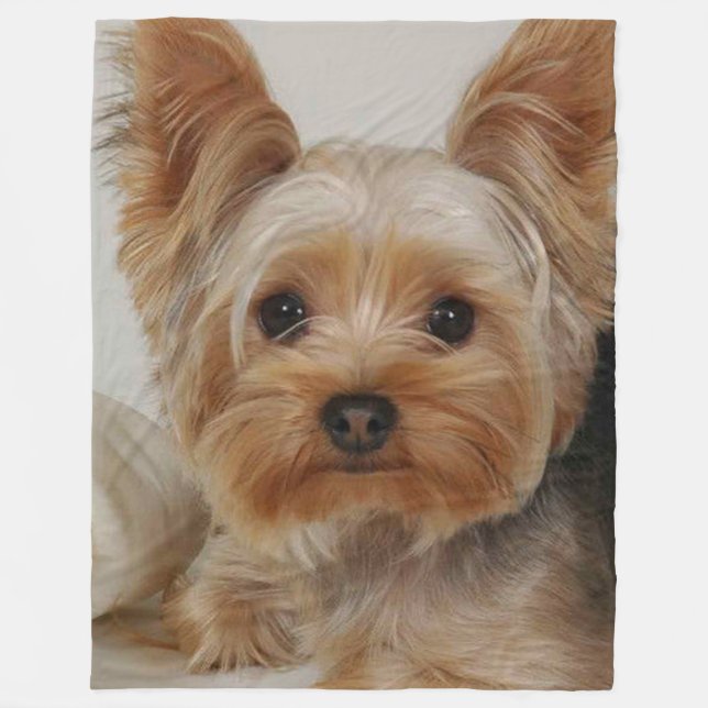Manta Polar Gorgeo Yorkshire Terrier (Anverso)