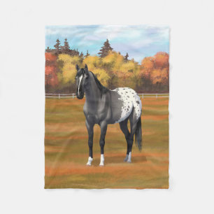 Manta Polar Gray Grulla Appaloosa Quarter Stallion