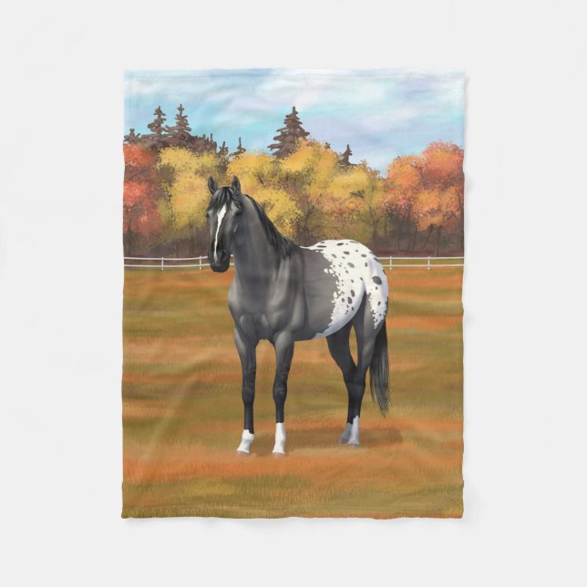 Manta Polar Gray Grulla Appaloosa Quarter Stallion (Anverso)