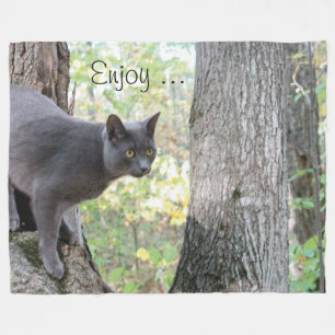 Manta Polar Gray Kitty Cat