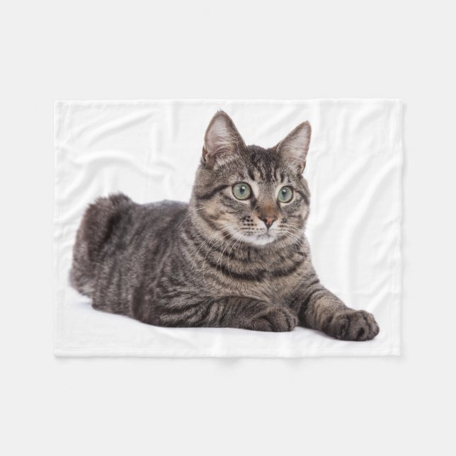 Manta Polar Gray Tabby Cat (Frente (Horizontal))