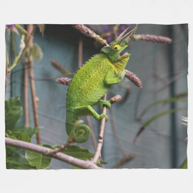 MANTA POLAR GREEN LIZARD (Frente (Horizontal))