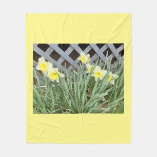 Manta Polar Grupo de Daffodils
