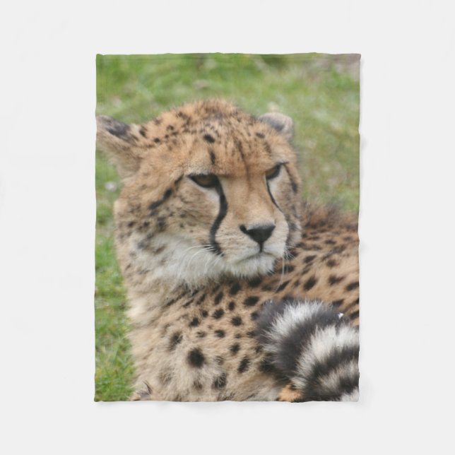 Manta Polar Guepardo 1115 (Anverso)