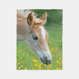 Manta Polar Haflinger Horse Cute Foal Flowers Retrato -