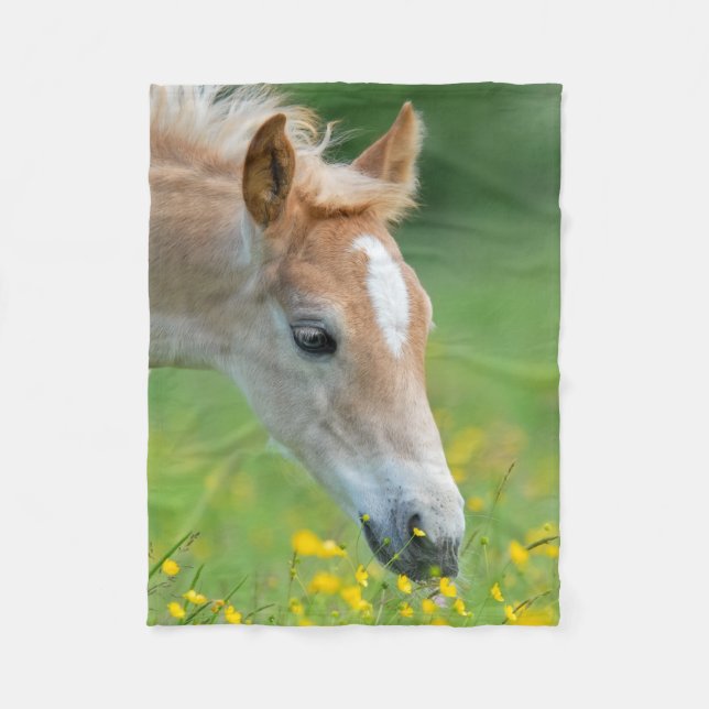 Manta Polar Haflinger Horse Cute Foal Flowers Retrato - (Anverso)