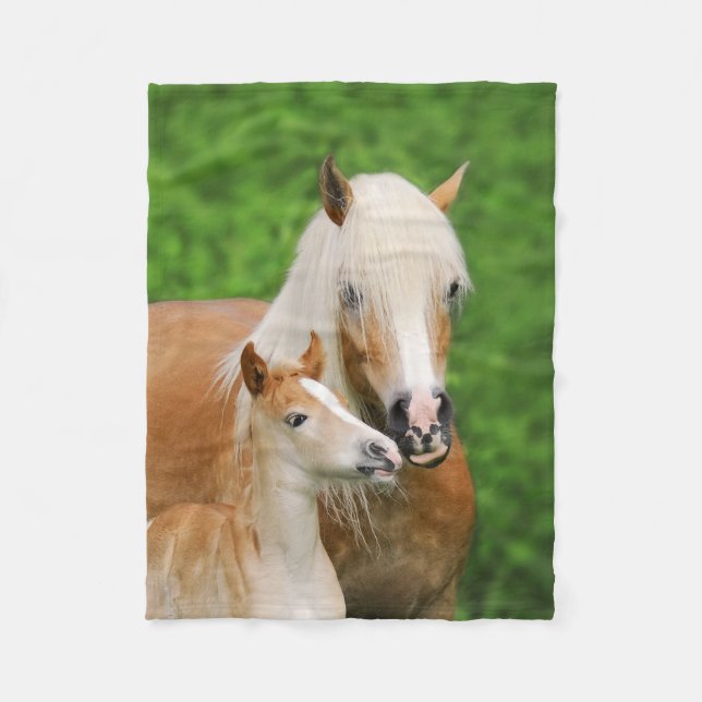 Manta Polar Haflinger Horses Cute Foal Kiss Mamá Funny (Anverso)