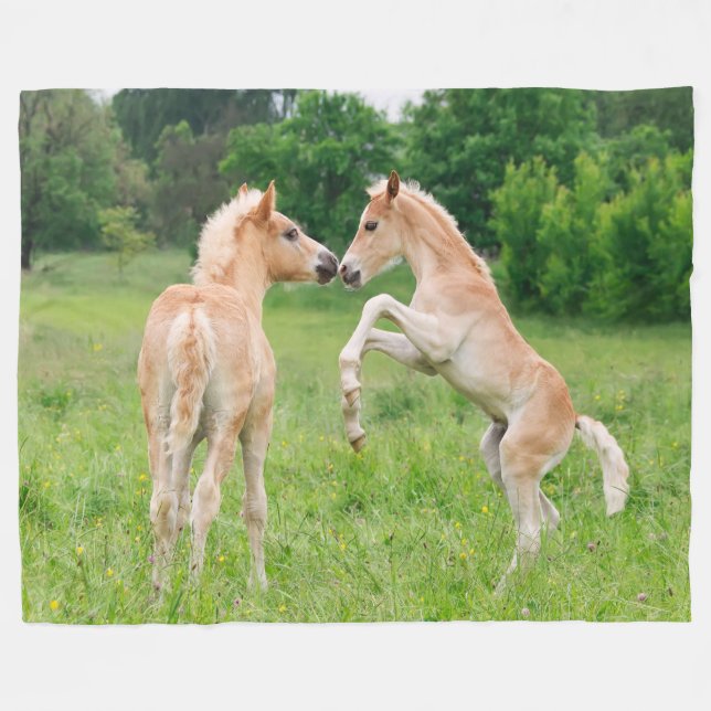 Manta Polar Haflinger Horses Cute Foals (Frente (Horizontal))
