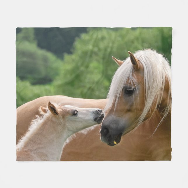 Manta Polar Haflinger Horses Fool y Mare cudling, comodidad (Frente (Horizontal))