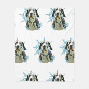 Manta Polar Harlequin Great Dane in the Snowflakes
