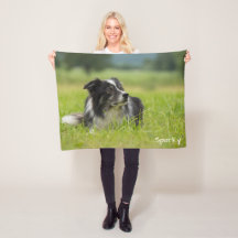 Hermoso Border Collie con Nombre Personalizado